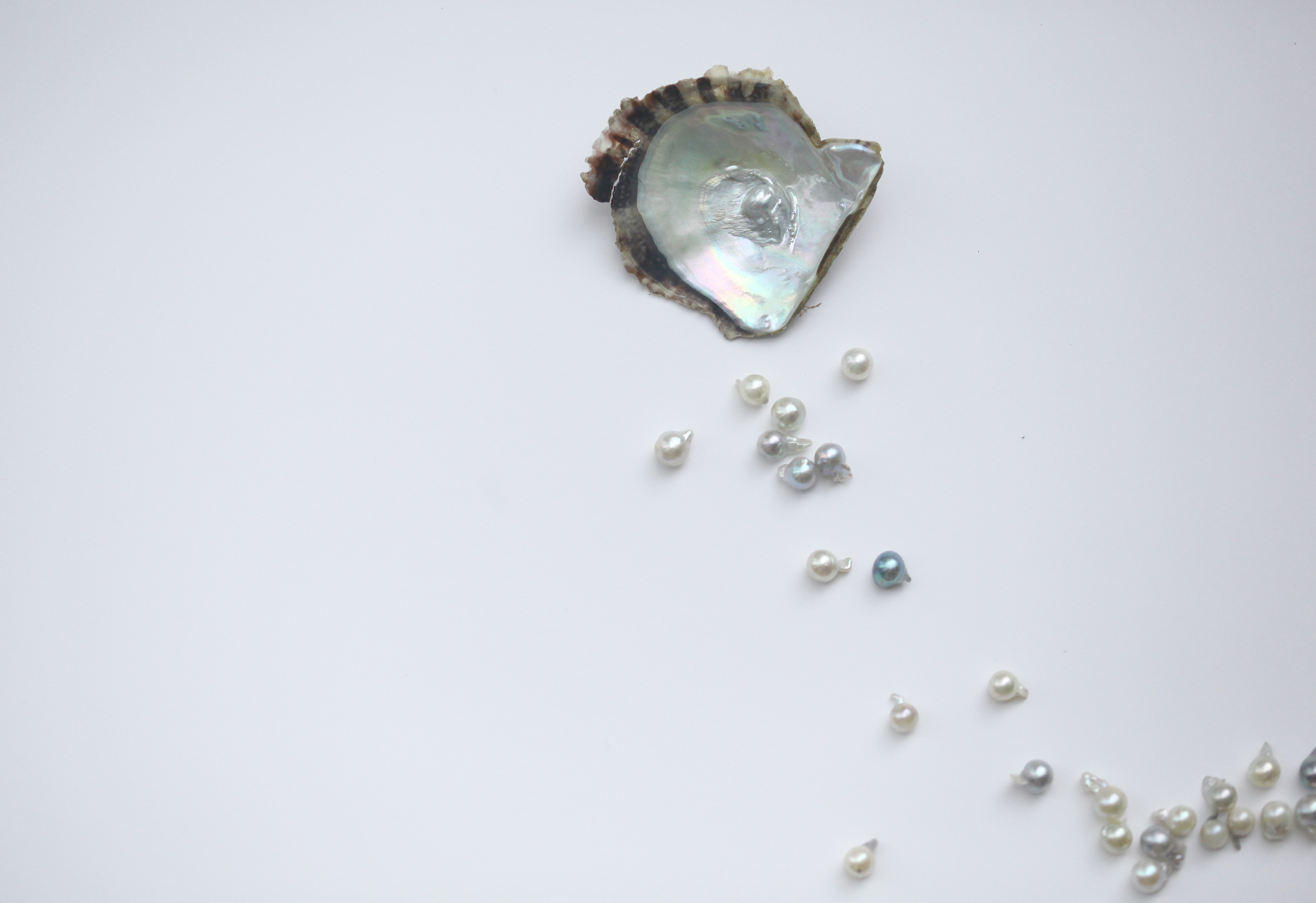 ‘Innocence …Pearls and Beauty’ : acoya x FILTOM