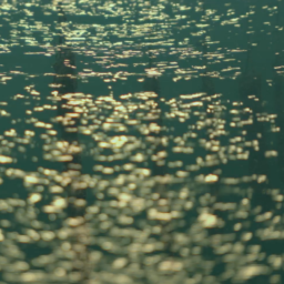 Documentary                     “acoya, The Koto Sea, Tales of the Pearl Sea”
