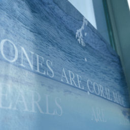 “Bones are coral made, Pearls are eyes” at SHIBAURA HOUSE